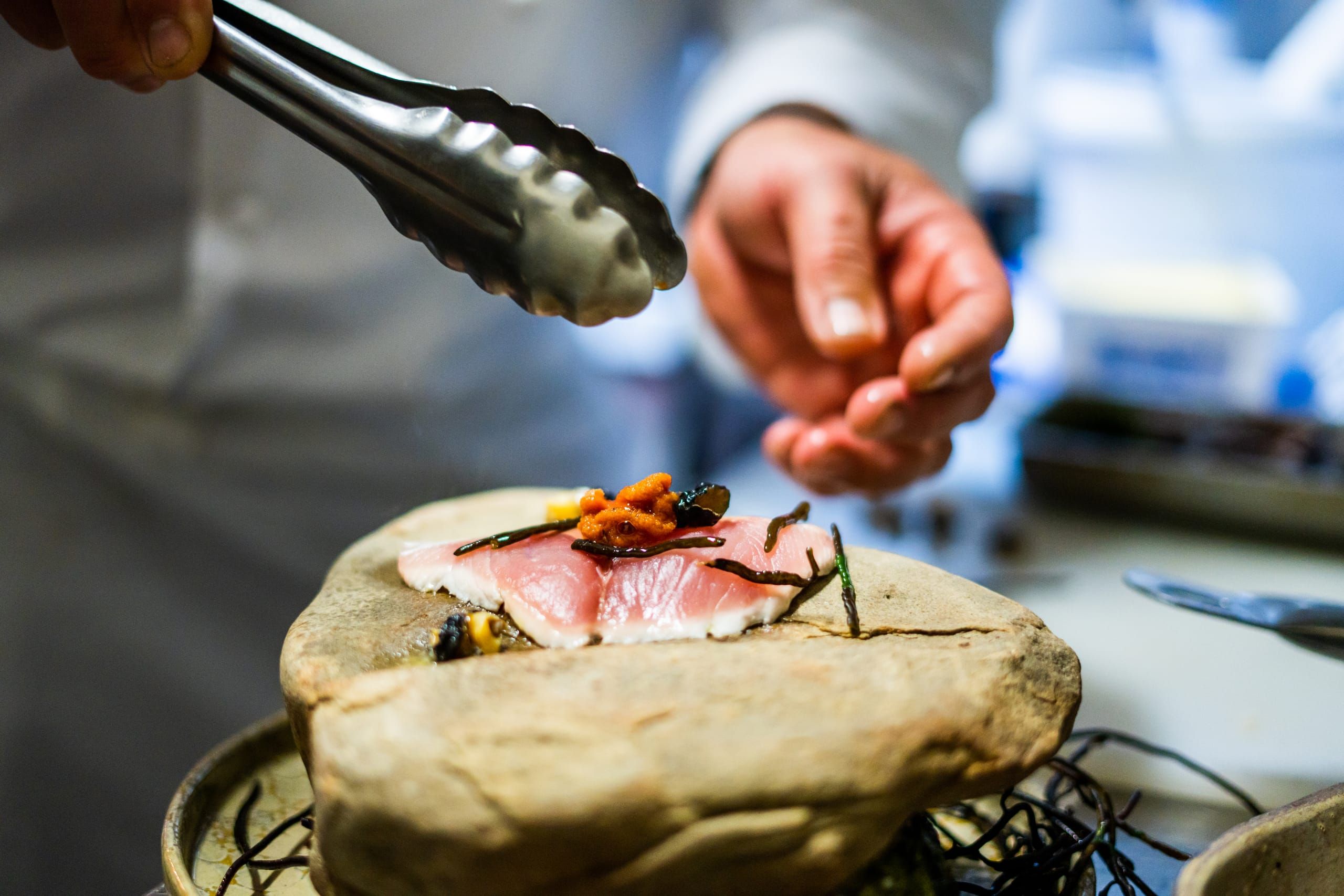 Foraged coastal ingredients gathered along the shoreline