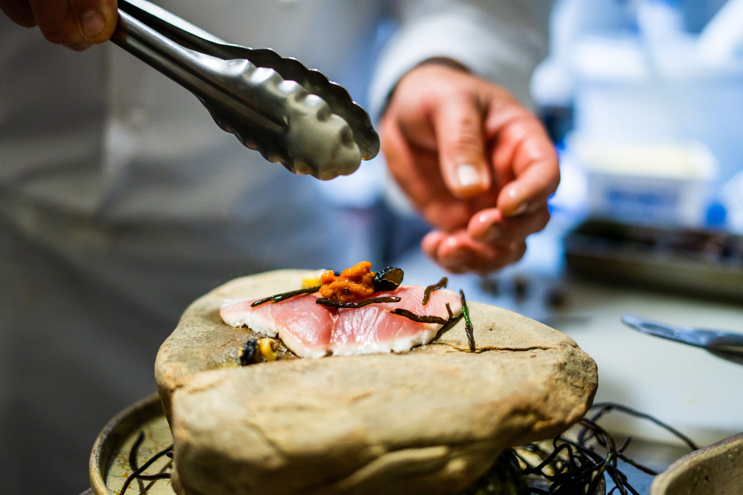 Foraged coastal ingredients gathered along the shoreline