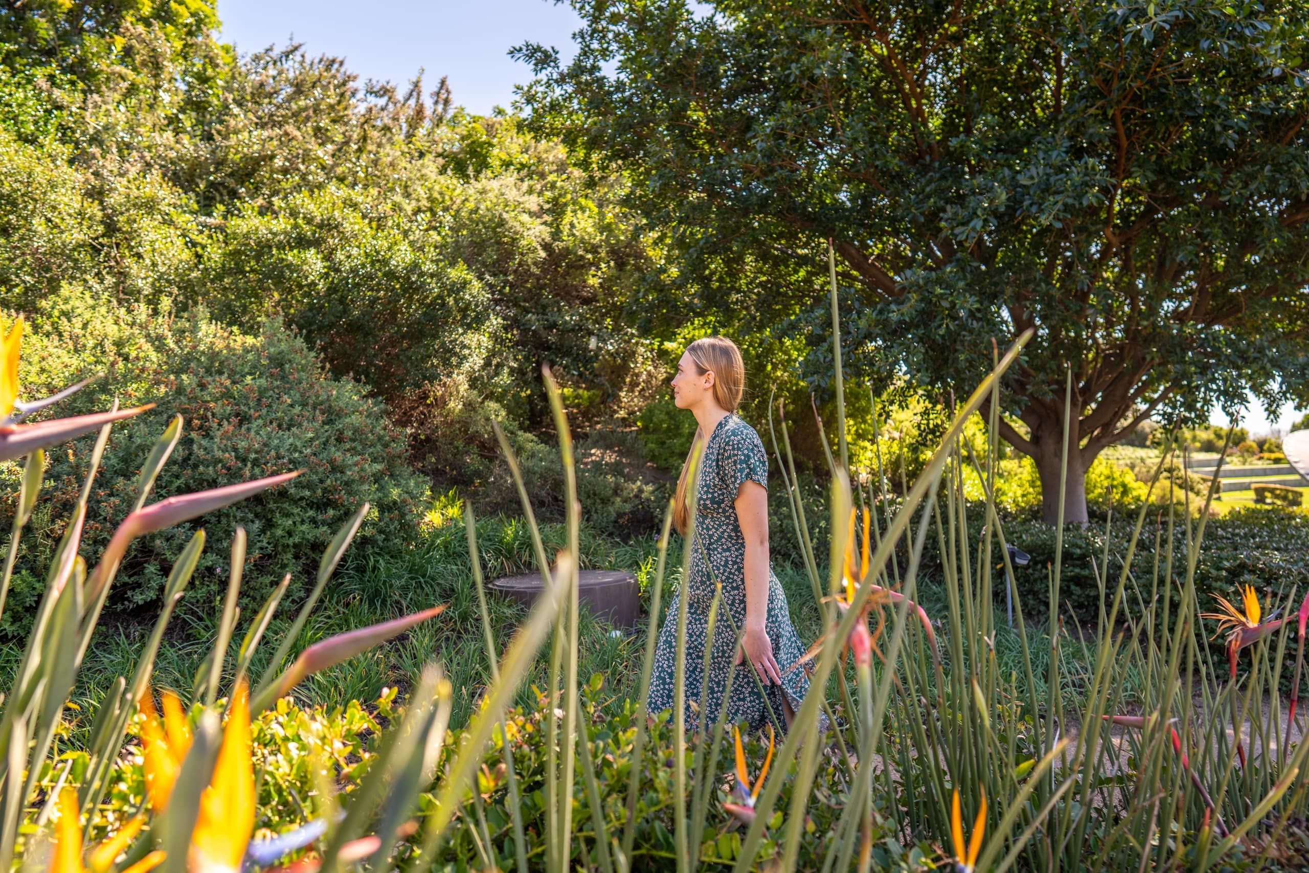 Sunlight filtering through the lush indigenous gardens of the estate