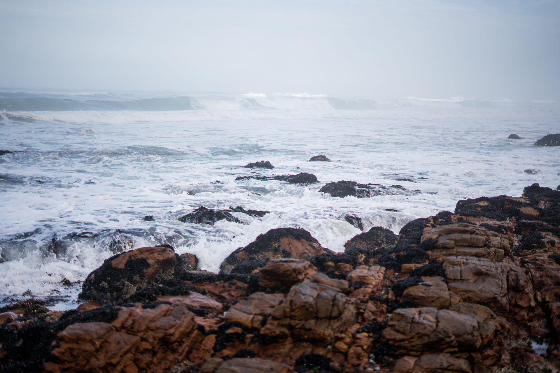 rocky-shoreline-cape-town.jpg