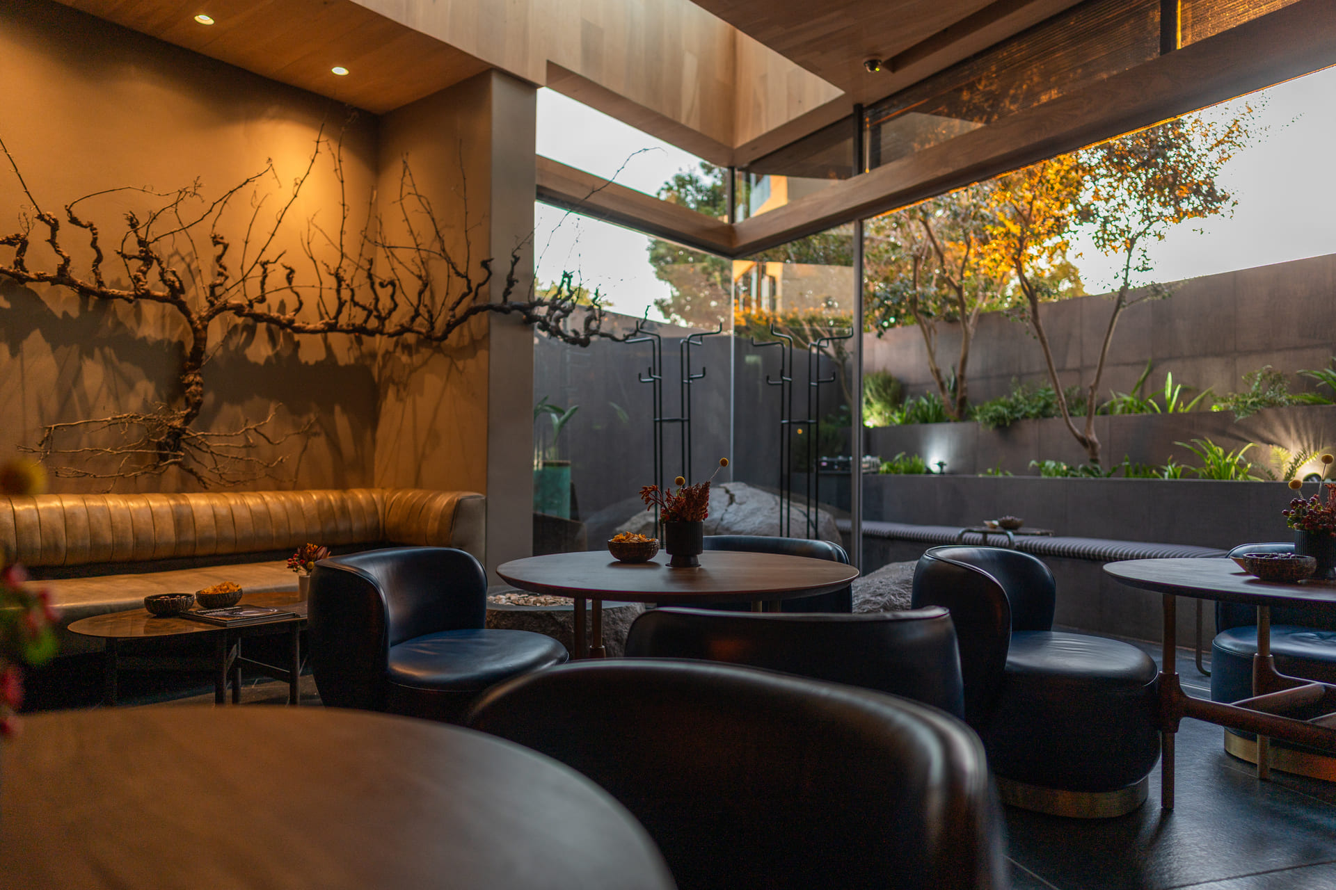 curate restaurant interior.jpg